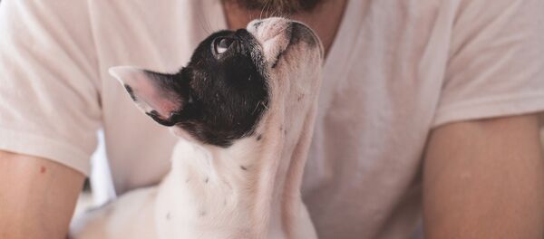 A dog owner - Sputnik International