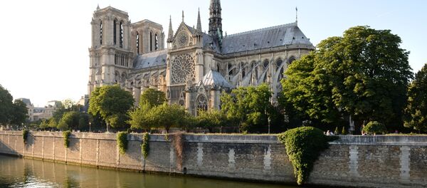 Отдыхающие на набережной Сены у Собора Парижской Богоматери (Notre-Dame de Paris) в Париже Отдыхающие на набережной Сены у Собора Парижской Богоматери (Notre-Dame de Paris) в Париже - Sputnik International