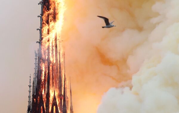 Fire Destroys Iconic Notre Dame Cathedral in Paris - Sputnik International