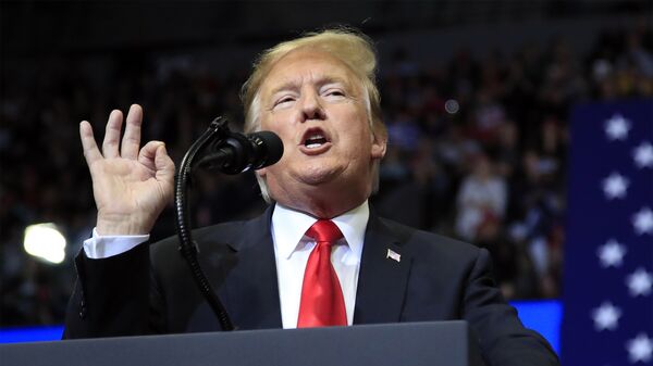 In this March 28, 2019 file photo, President Donald Trump speaks at a campaign rally in Grand Rapids, Mich - Sputnik International
