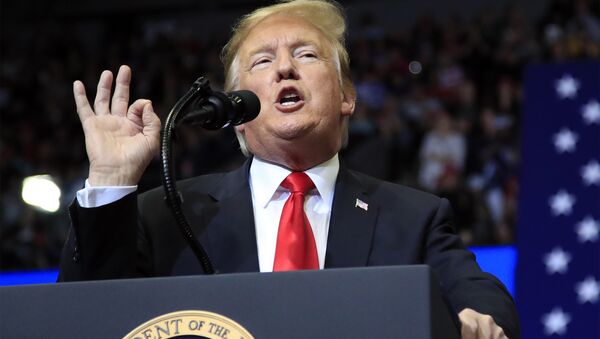 In this March 28, 2019 file photo, President Donald Trump speaks at a campaign rally in Grand Rapids, Mich  - Sputnik International