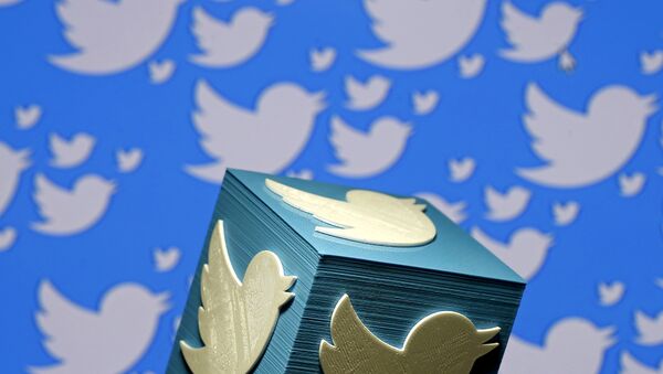 A 3D-printed logo for Twitter is seen in this picture illustration made in Zenica, Bosnia and Herzegovina on January 26, 2016 - Sputnik International