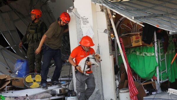 A rescuer carries a search dog as they try to reach survivors at a collapsed four-storey building following an earthquake in Porac town, Pampanga province, Philippines, April 23, 2019. - Sputnik International