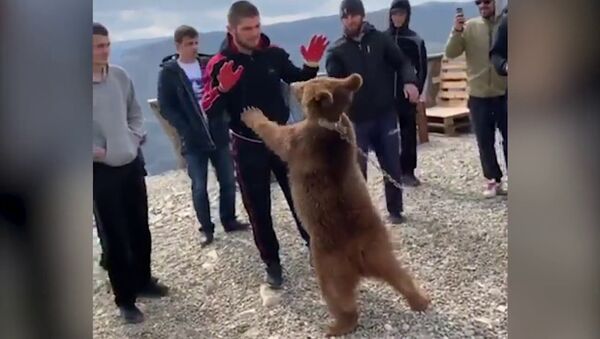 Нурмагомедов снова поборолся с медвежонком| UFC| ММА - Sputnik International