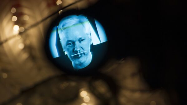 Julian Assange, founder of the online leaking platform WikiLeaks, is seen through the eyepeace of a camera as he is displayed on a screen via a live video connection during a press conference on the platform's 10th anniversary on October 4, 2016 in Berlin - Sputnik International
