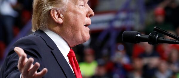US President Donald Trump delivers remarks at a Make America Great Again rally at the Resch Center Complex in Green Bay - Sputnik International