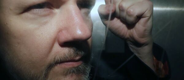 WikiLeaks founder Julian Assange being taken from court, where he appeared on charges of jumping British bail seven years ago, in London, Wednesday May 1, 2019 WikiLeaks founder Julian Assange being taken from court, where he appeared on charges of jumping British bail seven years ago, in London, Wednesday May 1, 2019 - Sputnik International