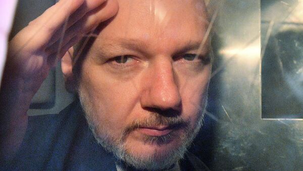 Julian Assange - Sputnik International