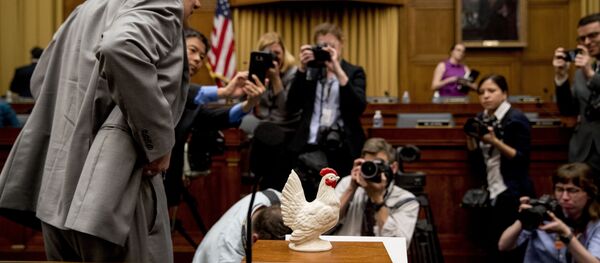 Rep. Steve Cohen, D-Tenn., left, places a prop chicken on the witness desk for Attorney General William Barr after he does not appear before a House Judiciary Committee hearing on Capitol Hill in Washington, Thursday, May 2, 2019. - Sputnik International