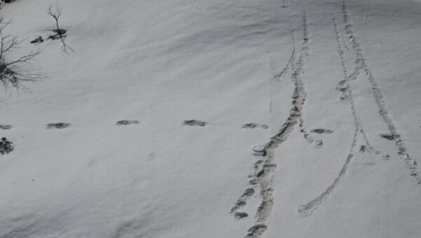 Footprints are seen in the snow near Makalu Base Camp in Nepal, in this picture taken on April 9, 2019 obtained from social media on April 30, 2019. - Sputnik International