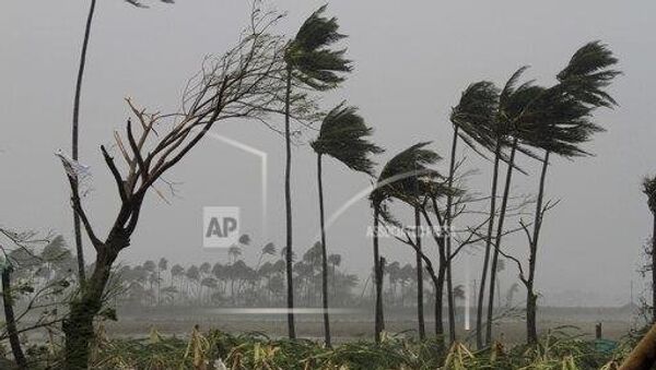Uprooted trees lie as others stand amid gusty winds in Puri district after Cyclone Fani hit the coastal eastern state of Odisha, India - Sputnik International