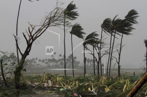 Uprooted trees lie as others stand amid gusty winds in Puri district after Cyclone Fani hit the coastal eastern state of Odisha, India Uprooted trees lie as others stand amid gusty winds in Puri district after Cyclone Fani hit the coastal eastern state of Odisha, India - Sputnik International