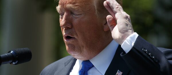President Donald Trump swats at a bee during a National Day of Prayer event in the Rose Garden of the White House, Thursday, May 2, 2019, in Washington - Sputnik International