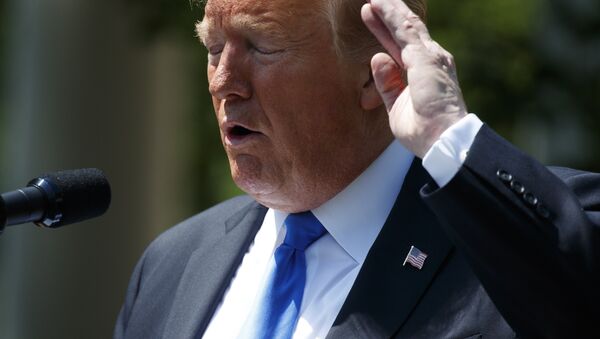 President Donald Trump swats at a bee during a National Day of Prayer event in the Rose Garden of the White House, Thursday, May 2, 2019, in Washington - Sputnik International