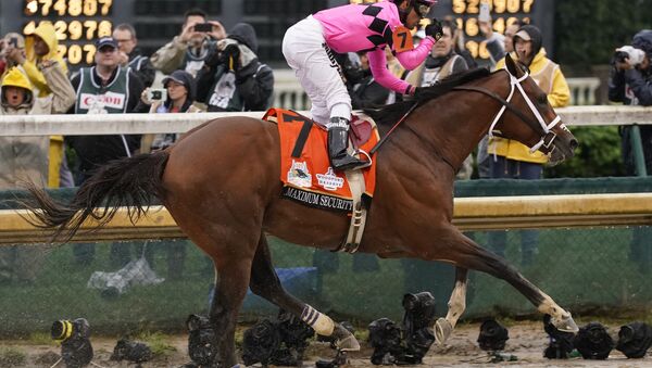Luis Saez rides Maximum Security to victory during the 145th running of the Kentucky Derby horse race at Churchill Downs Saturday, May 4, 2019, in Louisville, Ky - Sputnik International