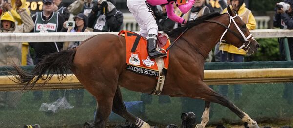Luis Saez rides Maximum Security to victory during the 145th running of the Kentucky Derby horse race at Churchill Downs Saturday, May 4, 2019, in Louisville, Ky Luis Saez rides Maximum Security to victory during the 145th running of the Kentucky Derby horse race at Churchill Downs Saturday, May 4, 2019, in Louisville, Ky - Sputnik International