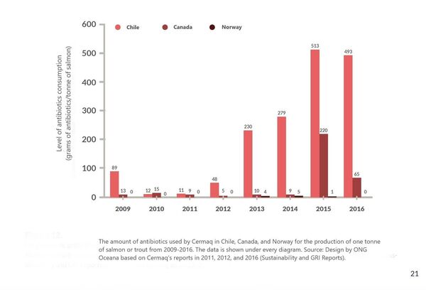 Use of Antibiotics in Chilean Salmon Farming: Causes, Effects and Associated Risks Use of Antibiotics in Chilean Salmon Farming: Causes, Effects and Associated Risks - Sputnik International
