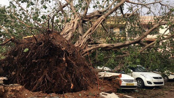 Cars are damaged by an uprooted tree in a residential area following Cyclone Fani in Bhubaneswar, capital of the eastern state of Odisha, India, May 4, 2019 - Sputnik International