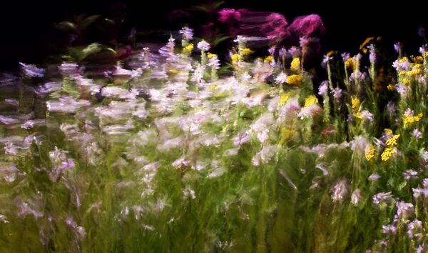 Jardins d’Été Painting. 2016 Jardins d’Été Painting. 2016 - Sputnik International