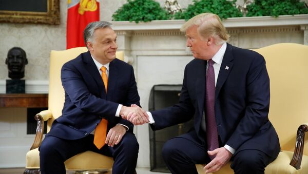 U.S. President Donald Trump greets Hungary's Prime Minister Viktor Orban in the Oval Office at the White House in Washington, U.S., May 13, 2019 - Sputnik International