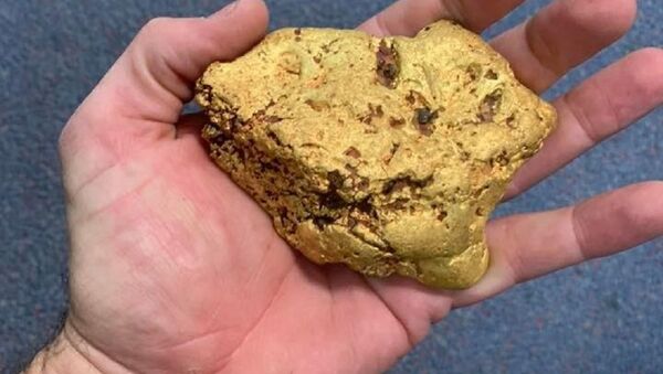 The nugget was found in salt bush flats near Kalgoorlie - Sputnik International