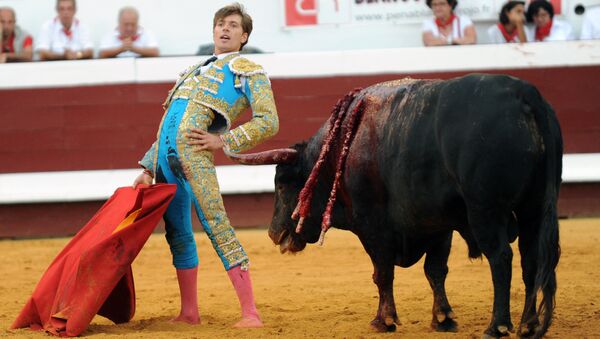 French matador Juan Leal reacts next to a Jandilla bull during the festival of Dax, southwestern France, on August 13,2015 - Sputnik International