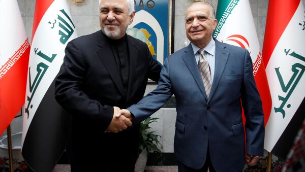 Iranian Foreign Minister, Mohammad Javad Zarif, shakes hands with Iraqi Foreign Minister Mohamed Ali Alhakim in Baghdad, Iraq May 26, 2019 - Sputnik International