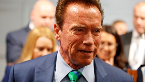 Former California governor and 'Mr. Universe' Arnold Schwarzenegger attends the COP23 UN Climate Change Conference 2017, hosted by Fiji but held in Bonn, Germany, November 12, 2017 - Sputnik International