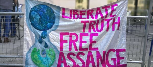 Assange's supporters chant slogans in his support before the courthouse in London Assange's supporters chant slogans in his support before the courthouse in London - Sputnik International