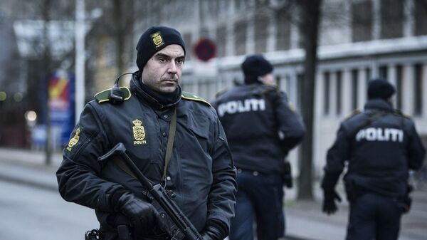 Danish police - Sputnik International