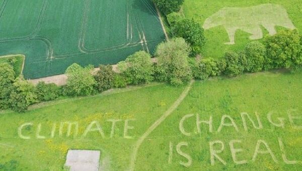 Guess who's been busy today mowing a stiff message for Trump under the Stansted flightpath... - Sputnik International