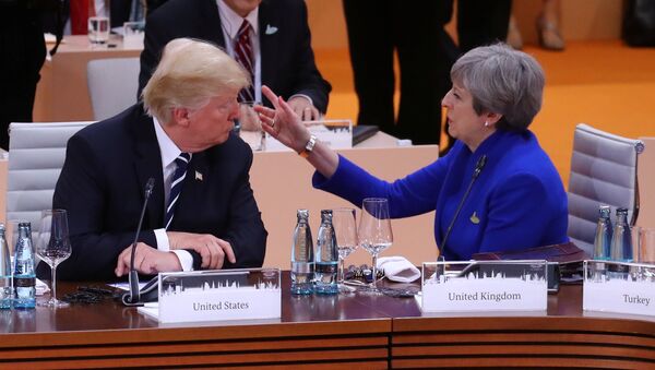 Britain's Prime Minister Theresa May talks with U.S. President Donald Trump during the working session at the G20 leaders summit in Hamburg - Sputnik International
