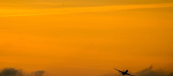 Boeing 737 (File) Boeing 737 (File) - Sputnik International