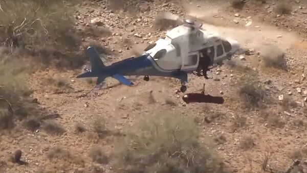 Video shows helicopter rescue of injured hiker - Sputnik International