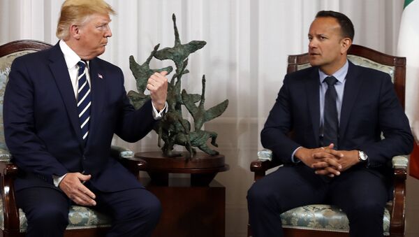President Donald Trump meets with Irish Prime Minister Leo Varadkar, Wednesday, June 5, 2019, in Shannon, Ireland. Trump is on his first visit to the country as president. - Sputnik International