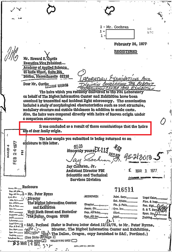 A letter from the FBI in response to an inquiry about possible Bigfoot hairs A letter from the FBI in response to an inquiry about possible Bigfoot hairs - Sputnik International