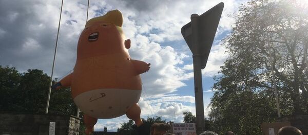  Donald the Baby Blimp - Sputnik International