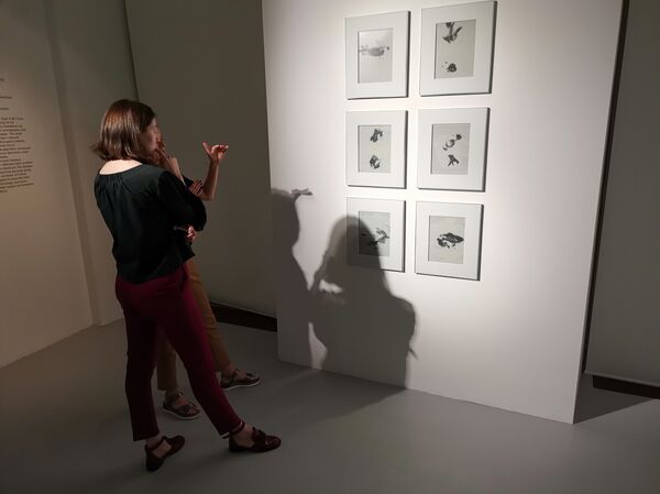 AI Art Exhibition Opens at State Hermitage Museum as Part of SPIEF’19 Cultural Programme(PHOTOS) AI Art Exhibition Opens at State Hermitage Museum as Part of SPIEF’19 Cultural Programme(PHOTOS) - Sputnik International