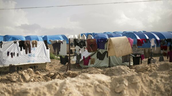 Laundry dries on a chain link fence in an area for foreign families, at Al-Hol camp in Hassakeh province, Syria. - Sputnik International