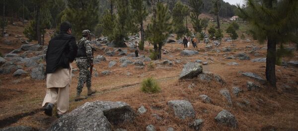 Pakistani reporters and troops visit the site of an Indian airstrike in Jaba, near Balakot, Pakistan, Tuesday, Feb. 26, 2019 - Sputnik International