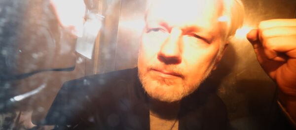 WikiLeaks founder Julian Assange arrives at court in London on May 1, 2019 to be sentenced for bail violation WikiLeaks founder Julian Assange arrives at court in London on May 1, 2019 to be sentenced for bail violation - Sputnik International