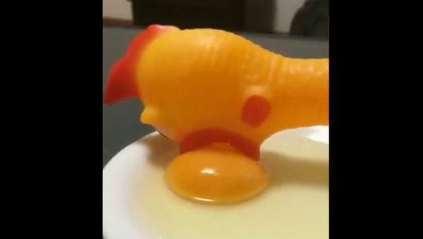 Chick Eats Egg  - Sputnik International
