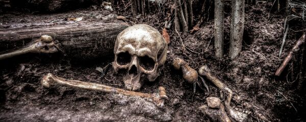 Human bones - Sputnik International
