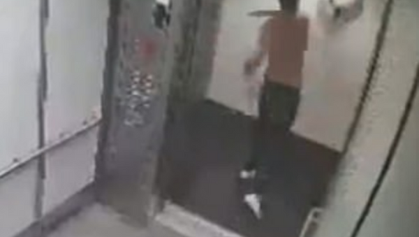 US Man Hurls Dog Head First Into Wall Before Beating Pooch Inside Elevator - Sputnik International