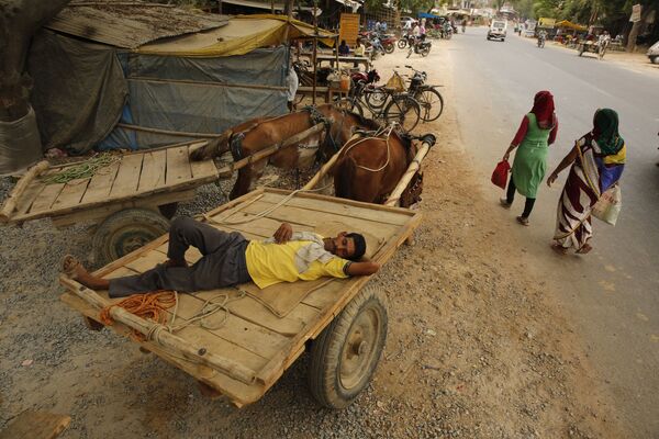 An Indian horse cart owner sleeps on his cart in a shade on a hot summer day on the outskirts of Prayagraj, Uttar Pradesh, India, Wednesday, June 12, 2019. - Sputnik International