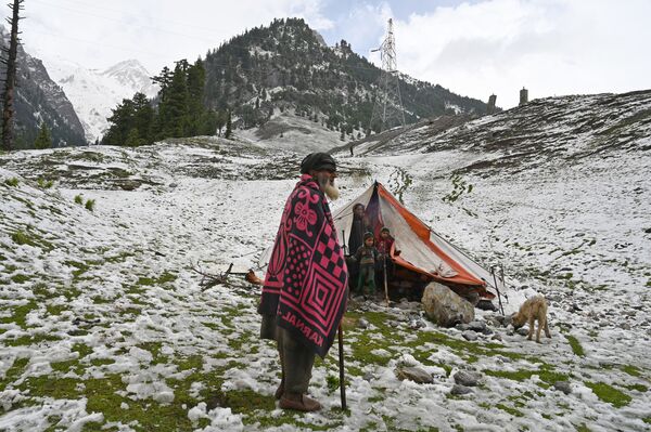 A Kashmiri nomad stands outside a tent after a snowfall in Sonamarg, some 89 kms of Srinagar on June 12, 2019.  - Sputnik International