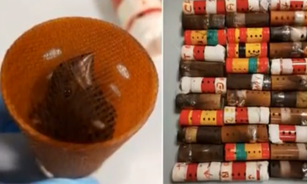 US Man Arrested at JFK Airport After Trying to Smuggle Birds in Hair Curlers (PHOTOS) - Sputnik International