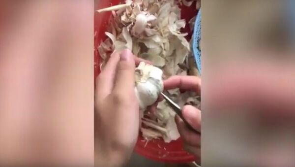 Genius kitchen peel garlic cloves in SECONDS using nothing but a small knife - Sputnik International