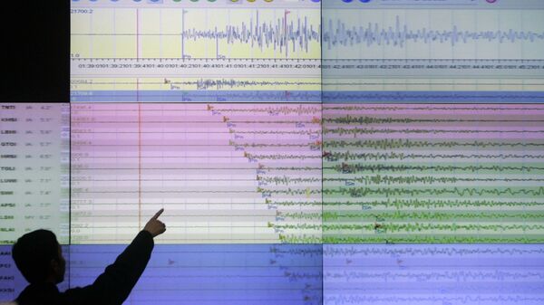 A geologist looks at a screen showing the seismograph reading of the powerful earthquake - Sputnik International