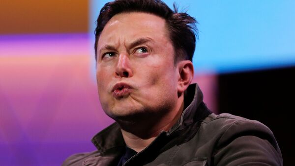 SpaceX owner and Tesla CEO Elon Musk reacts during a conversation with legendary game designer Todd Howard (not pictured) at the E3 gaming convention in Los Angeles, California, U.S., June 13, 2019 - Sputnik International